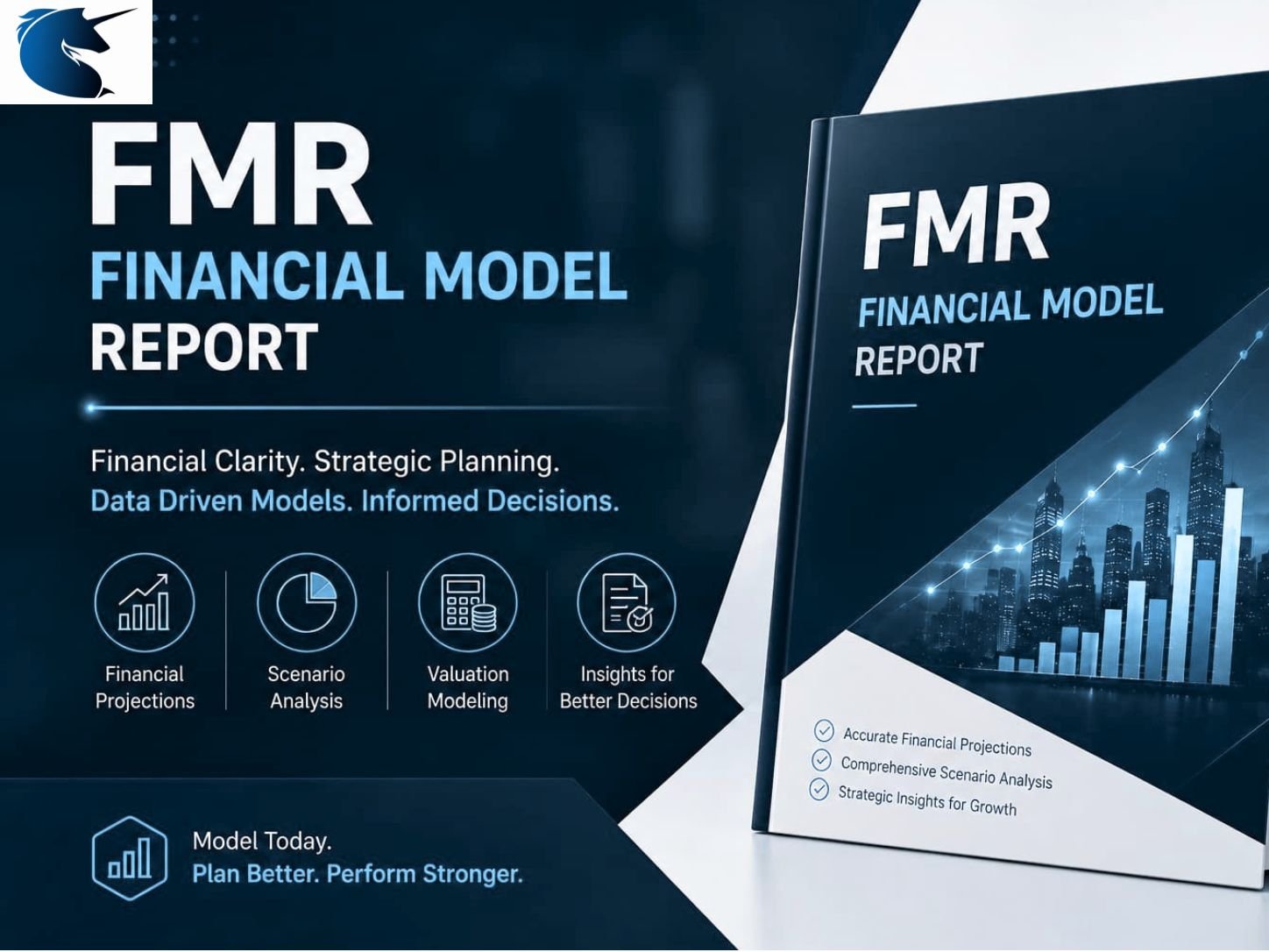 Financial Monitoring Report (FMR)